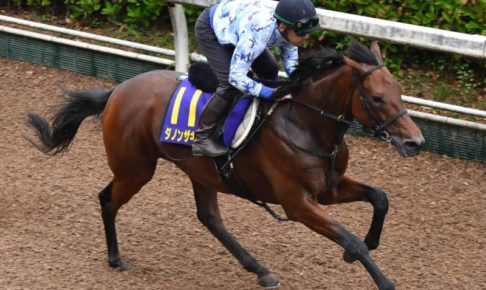 ダノンザキッドが骨折でダービー回避