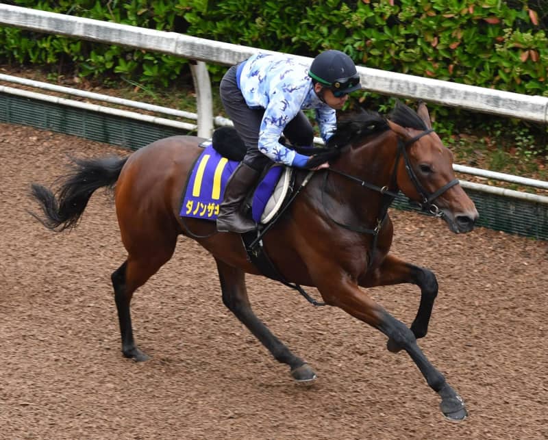 ダノンザキッドが骨折でダービー回避 ダノンザキッドが骨折でダービー回避