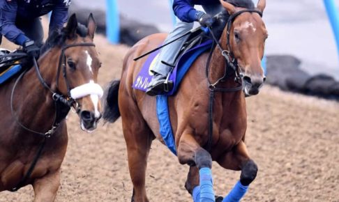 【日本ダービー】サトノレイナス合格点　国枝師「全体的に良かった」