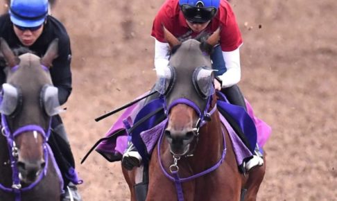 【日本ダービー】エフフォーリア視界良好　鹿戸師「問題ない」