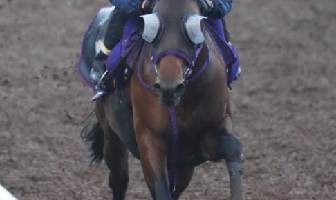 【日本ダービー】エフフォーリア態勢着々　無敗のクラシック2冠へ「変わりなく順調」