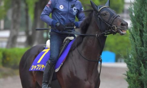 【日本ダービー】シャフリヤール急成長　藤原英師「予定通り順調に来ている」