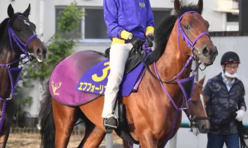 【日本ダービー】エフフォーリア油断大敵　鹿戸師「十分仕上がる」気配文句なし