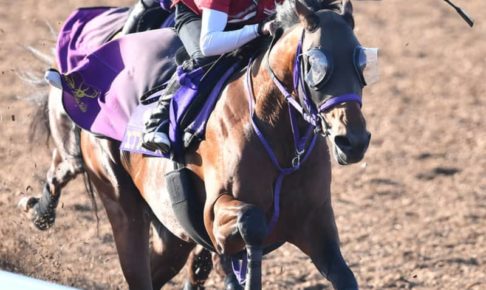 【日本ダービー】エフフォーリア2冠リハ　横山武も納得のラスト11.7秒