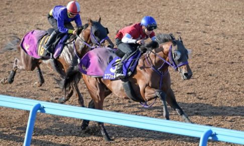 【日本ダービー】エフフォーリア最高　本番マーク問題なし！抜群の動きで最先着