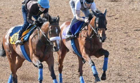 【日本ダービー】サトノレイナス偉業へ状態バッチリ　史上4頭目牝馬ダービー制覇挑む
