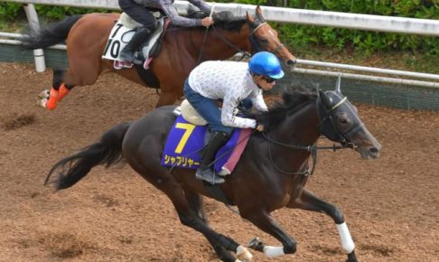 【日本ダービー】シャフリヤール楽々走　ダービー一本ローテで充実一途「成長してる」