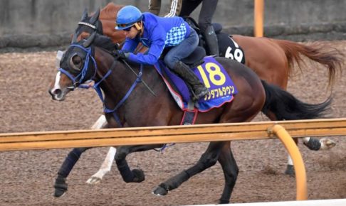 【日本ダービー】ワンダフルタウンが4馬身半先着リハ　和田竜ベタ褒め「理想とする形」