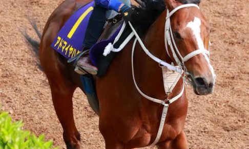 【日本ダービー】アドマイヤハダル想定外も動き良し　オーバーワーク心配なし