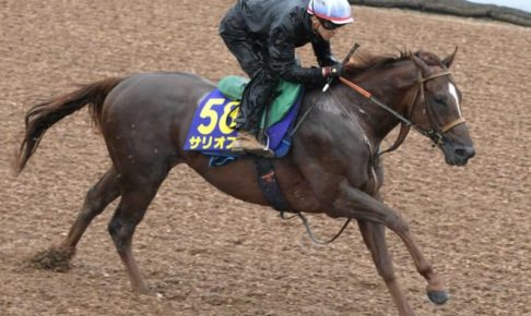 【安田記念】サリオス好反応で1馬身先着　3勝挙げた得意舞台で巻き返し期す