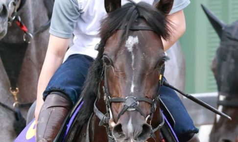 【日本ダービー】吉田隼 初の夢舞台でステラヴェローチェと“倍返し”だ 【日本ダービー】吉田隼 初の夢舞台でステラヴェローチェと“倍返し”だ