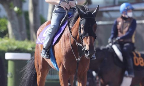 【日本ダービー】サトノレイナスが順調アピール　自慢の末脚で牡馬撃破狙う