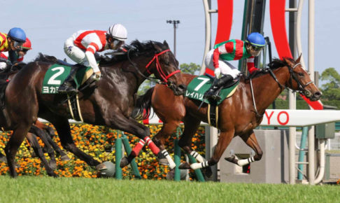 【葵S】13番人気レイハリアが重賞初V