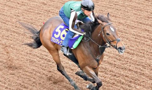 【安田記念】グランアレグリアとシュネルマイスターが1週前追い