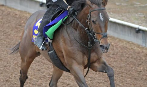 【安田記念】グランアレグリア死角なし　女王の貫禄！史上3頭目の連覇へ状態問題なし