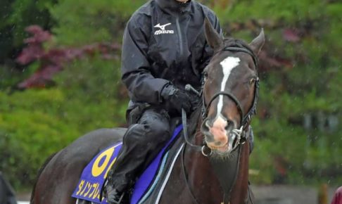 【安田記念】池添、ダノンプレミアムの復活演じる　初コンタクトで好感触「いい動き」