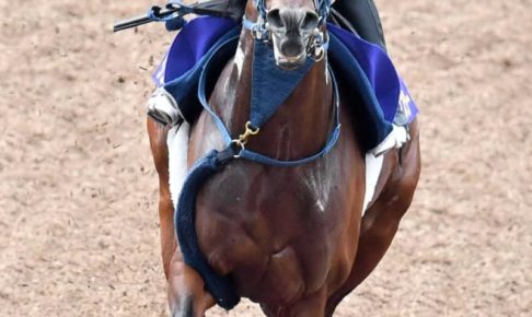 【安田記念】シュネルマイスター軽快走　史上2頭目3歳馬Vへ仕上がった