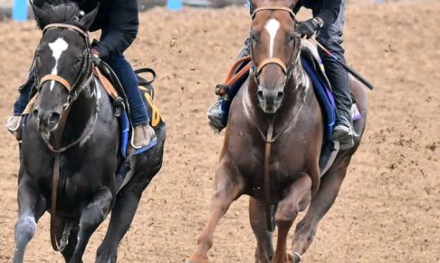 【安田記念】サリオス万全　G1V2へ堀師「上出来」　コース実績も文句なし