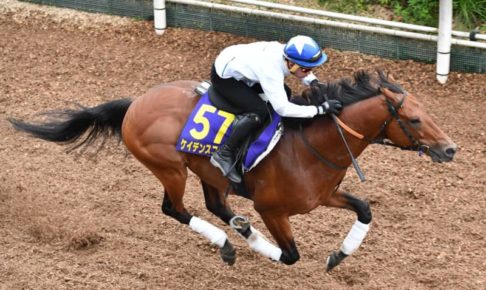 【安田記念】ケイデンスコール進化走　安田隆師は自信「楽しみ大きい」