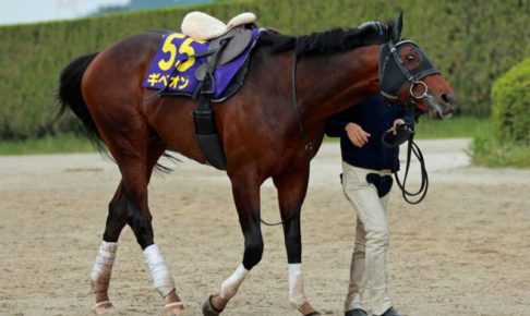 【安田記念】ギベオン金星再び　藤原英師「雰囲気いい」