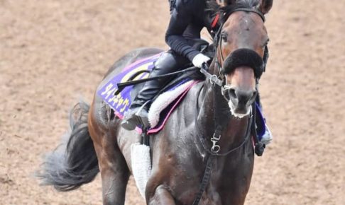 【安田記念】ダイワキャグニー状態不安なし　8勝全て府中！先行勝負でひと泡吹かす