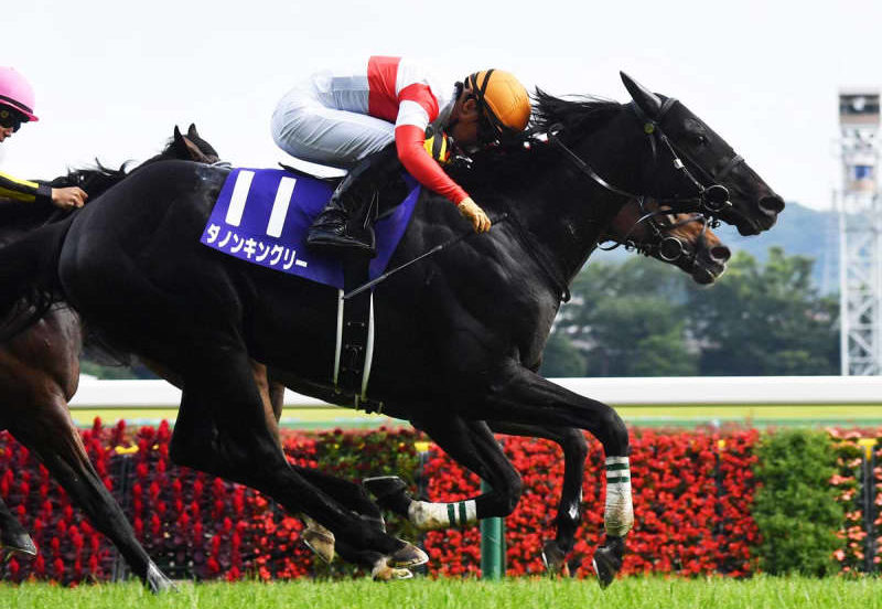 【安田記念】伏兵ダノンキングリーがアタマ差V 初コンビの川田「競馬自体はとてもいい走りができたと思います」 【安田記念】伏兵ダノンキングリーがアタマ差V 初コンビの川田「競馬自体はとてもいい走りができたと思います」