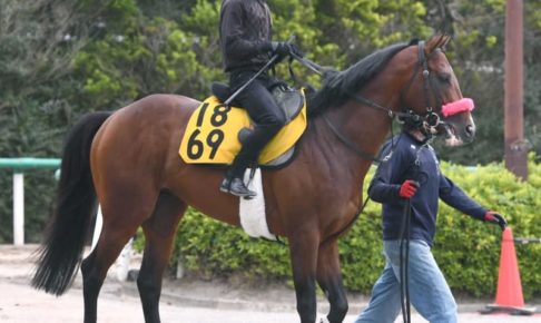 【エプソムC】ヤシャマル、急成長　馬体充実！尾形師「勝負強さある」