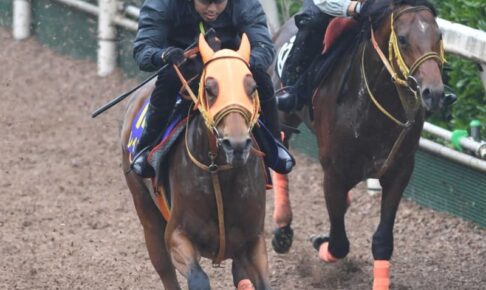 【宝塚記念】レイパパレ さらに進化した“質”重視で大阪杯「上回る感じ」