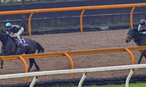 【宝塚記念】クロノジェネシス 動きパワフル　新コンビ・ルメールがGP3連覇へ自信