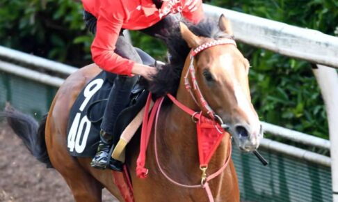 【ユニコーンS】ピンクカメハメハ超進化　サウジダービーV経験経て気性面成長