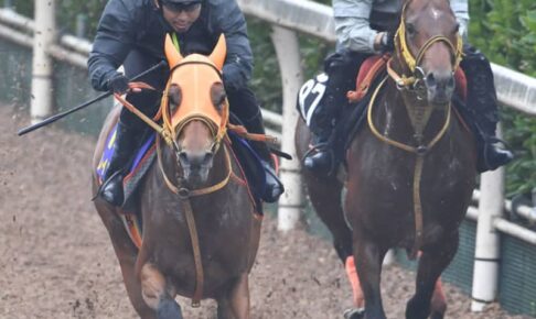 【宝塚記念】6戦無敗レイパパレ　“新旧女帝対決”の先に見据える“世界頂上決戦”