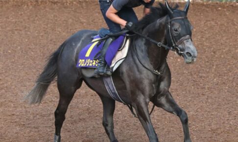 【宝塚記念】「あれは化け物でしょ」衝撃から1年　進化を続けるクロノに死角なし