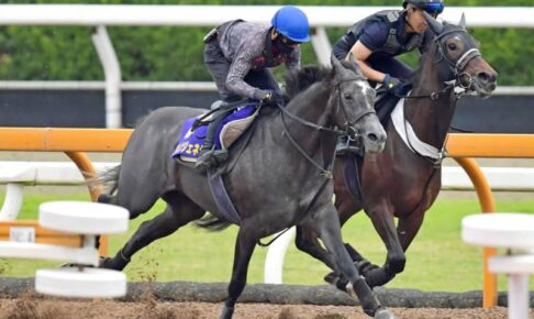 【宝塚記念】クロノジェネシス、GP3連覇へ　斉藤崇師「今が一番充実」本格化強調