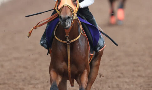 【宝塚記念】レイパパレ坂路で楽々51秒6　高野師「怖いくらい状態がいい」