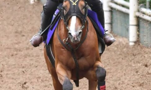 【宝塚記念】モズベッロ、上々の伸び脚　20年12番人気で3着、大駆け狙う