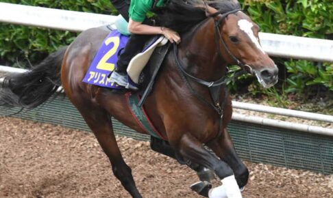【宝塚記念】アリストテレス、上昇ムード　長距離戦続きのダメージなし