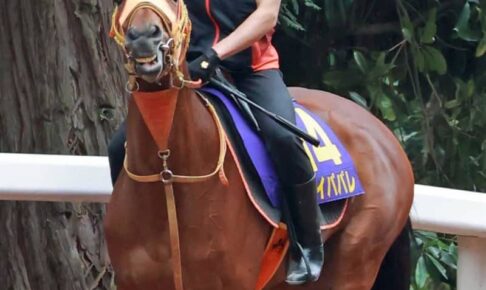 【宝塚記念】レイパパレ 無傷の7連勝へ順調　高野師「本当に良くなっている」