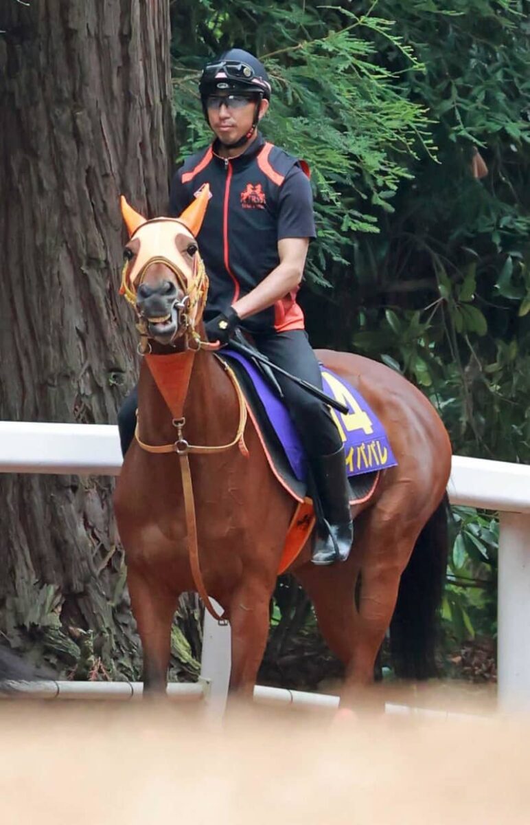 【宝塚記念】レイパパレ 無傷の7連勝へ順調　高野師「本当に良くなっている」