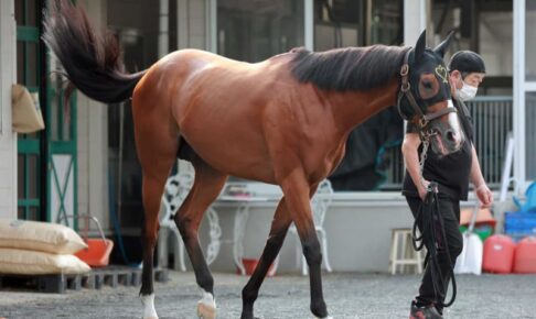 【宝塚記念】モズベッロ 一発ムード　コズミの影響一切感じさせず　年を重ねさらに成長