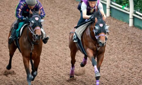 【ラジオNIKKEI賞】リッケンバッカー軽快走　幸も好感触「距離も馬場も大丈夫」