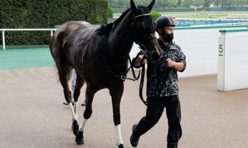 【戸畑特別】日本レコード連発！プリモダルクが芝6F戦の日本レコード22年ぶりに更新