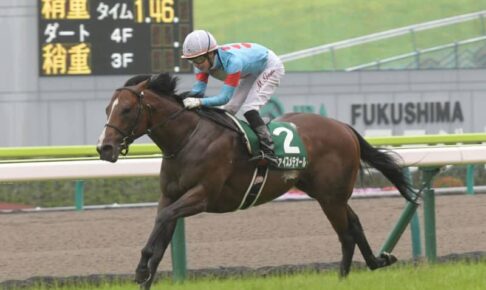 【ラジオNIKKEI賞】ヴァイスメテオールが2馬身半差の完勝で重賞初V