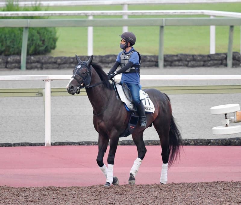 【七夕賞】クラージュゲリエ、波乱呼ぶ 叩き2戦目反撃で高配立役者に 【七夕賞】クラージュゲリエ、波乱呼ぶ 叩き2戦目反撃で高配立役者に