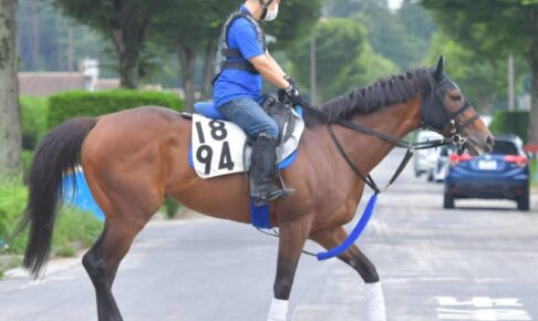 【七夕賞】休み明け快勝のマウントゴールド　出来落ちなし　気になるのは空模様