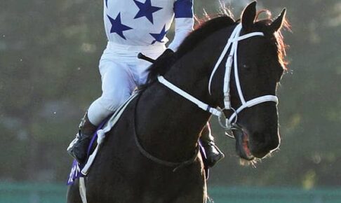 【JRA】昨年のチャンピオンズC覇者・チュウワウィザードが骨折　3カ月以上の休養へ