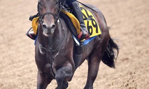 【七夕賞】トーラスジェミニ、終始伸び伸び　G1で5着の前走勢いで重賞初勝利へ