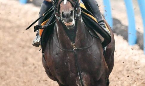 【七夕賞】クレッシェンドラヴ、7歳でも進化　福島巧者が万全仕上がりで重賞3勝目へ