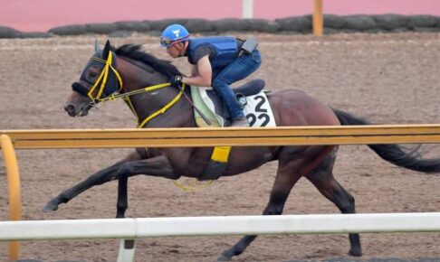 【七夕賞】ヴァンケドミンゴ好感触　得意福島で初タイトル奪取だ　酒井「反応いい」
