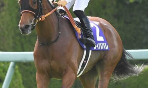 レイパパレが凱旋門賞を回避