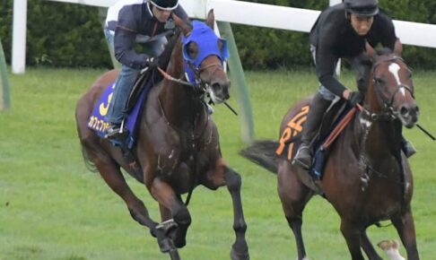 【函館記念】カフェファラオ万全　さすがG1ホース！いざダート＆芝二刀流への道